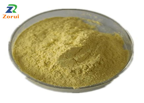 ราคาดี สารสกัดจาก Sophora Japonica / Quercetin Powder Bulk สำหรับเสมหะระงับอาการไอ CAS 117-39-5 ออนไลน์