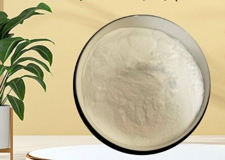 ราคาดี GDL CAS 90-80-2 ผงสีขาวเกรดอาหาร Glucono Delta Lactone สำหรับผลิตภัณฑ์นมเบเกอรี่ ออนไลน์
