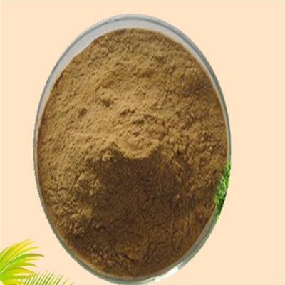 ราคาดี CAS 84604-15-9 Serenoa Serrulata สารสกัดจากผลไม้ ISO Factory Saw Palmetto Extract สารสกัดจากผลไม้ ออนไลน์