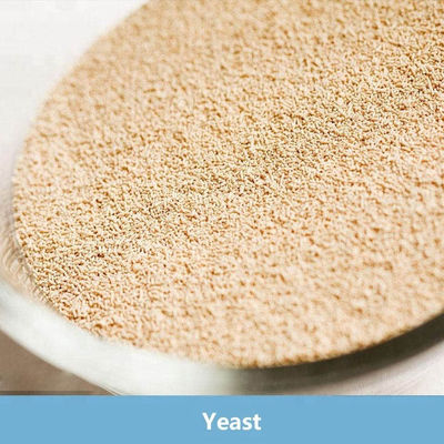 ราคาดี น้ําตาลต่ํา ยีสต์แห้งทันที 500 กรัม แพ็คกระเป๋า Vakuum สําหรับยีสต์ขนมปัง ออนไลน์