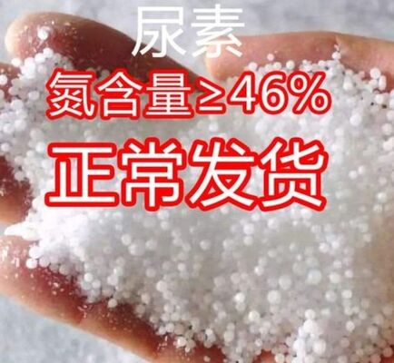 ราคาดี พริลลัด / ยูเรียกรัง 46% / ยูเรีย 46 ปุ๋ยสําหรับการเติบโตของพืช CAS 57-13-6 ออนไลน์