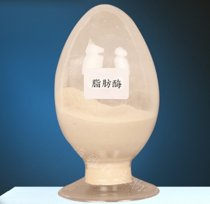 ราคาดี เอ็นไซม์ลิปาเซ CAS 9001-62-1 สําหรับการเผาผลาญไขมัน ความบริสุทธิ์ 99% ออนไลน์