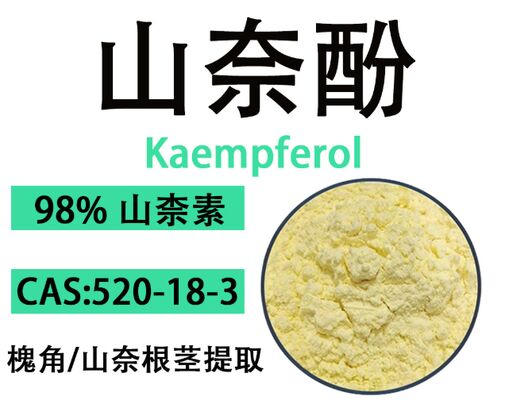 ราคาดี CAS 520-18-3 สูตรต้านอนุมูลอิสระและต่อต้านวัย 98% ผงผลึกสีเหลือง Kaempferol ออนไลน์
