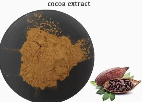 ราคาดี CAS 84649-99-0 Theobroma Cacao Extract สำหรับอาหารและเครื่องดื่มสารสกัดจากโกโก้ ออนไลน์