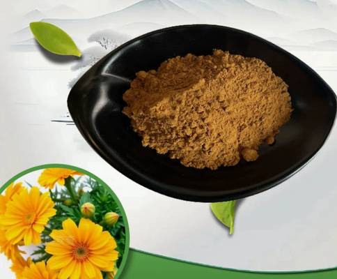 ราคาดี สารสกัด Calendula Officinalis เกรดเครื่องสำอาง CAS 84776-23-8 สำหรับการดูแลผิวที่บอบบางและผลิตภัณฑ์สำหรับเด็ก ออนไลน์